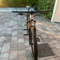 Bici mtb