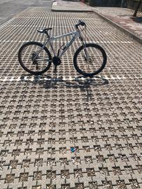 Bici da ragazzo