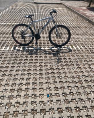 Bici da ragazzo