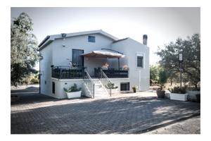 Ficodindia Home
