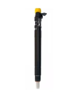 1 INIETTORE DELPHI EMBR00101D 9686191080 CITROEN F