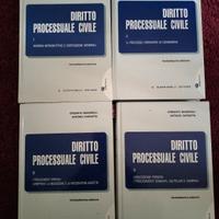 Diritto processuale civile Mandrioli Carratta 
