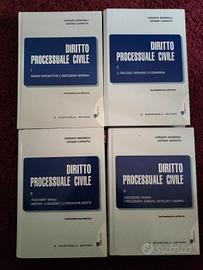 Diritto processuale civile Mandrioli Carratta 