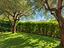 Immagine 24