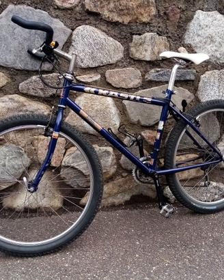 Mountain bike Kastle