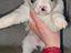 Immagine 6