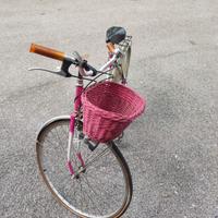 Bicicletta da donna