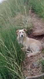 Smaltimento terra Gratis info nei dettagli