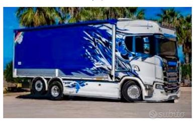 Autista Patente C + CQC + Idonieta professionale