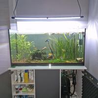 acquario 240lt