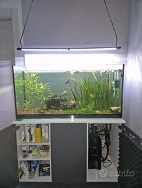 acquario 240lt