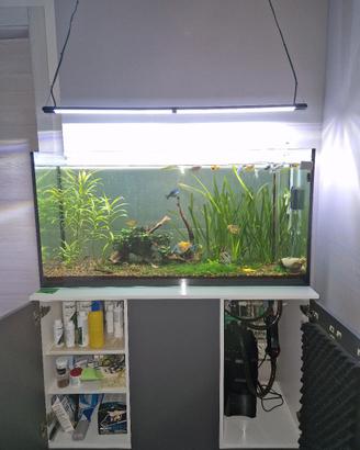 acquario 240lt