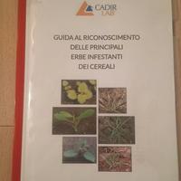 Guida al riconoscimento di erbe infestanti cereali