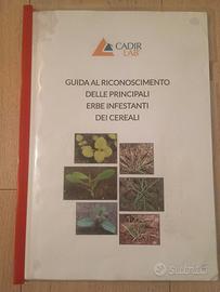 Guida al riconoscimento di erbe infestanti cereali