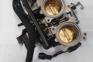 Cassa filtro interiore triumph