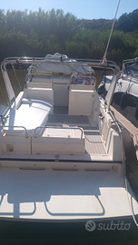 Barca acquaviva executive 31