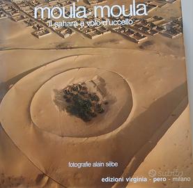 il Sahara a volo di uccello Edizioni Virginia