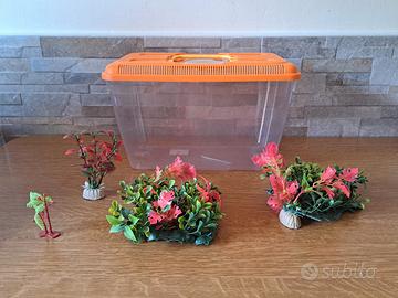 vaschetta per pesciolini con piante ornamentali 