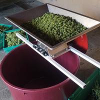 Pigiatrice Manuale Acciaio Inox