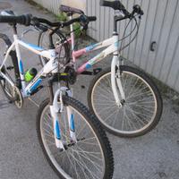 BICI-M.T.BIKE 2 STUPENDE BICI X RAGAZZO-A DA 12-17