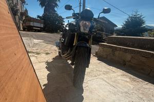 Honda hornet