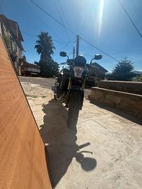 Honda hornet