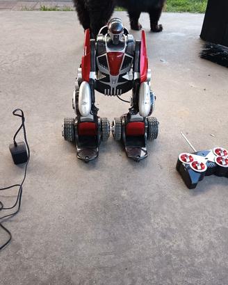 RCRC auto robot