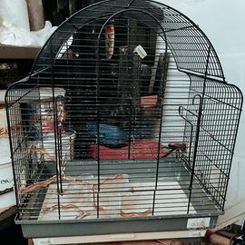 Gabbia per uccelli o pappagalli