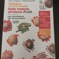 Chimica concetti e modelli