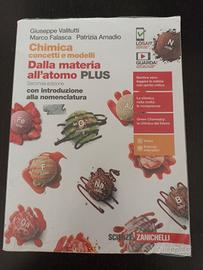 Chimica concetti e modelli