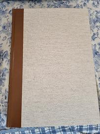 disegni di MICHELANGELO 