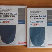 manuale blu 2.0 di matematica 4