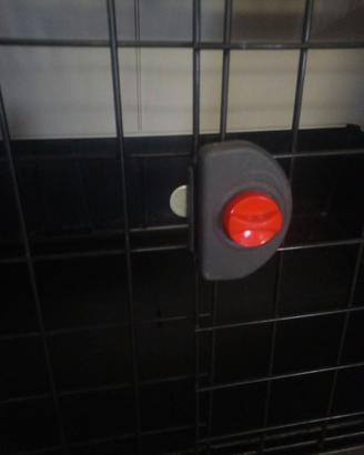 TRASPORTINO PER CANI GRANDI