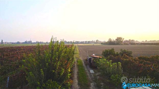 CARPI, TERRENO AGRICOLO CON ACCESSO INDIPENDENTE