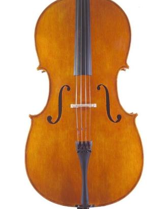 Violoncello  fondo unico in " il Salodiano"
