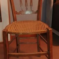 sedie in finocchietto