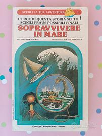 Librogame scegli la tua avventura 1 