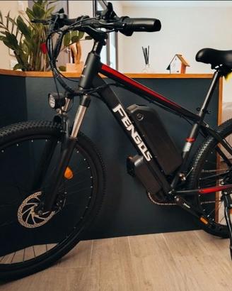 Mountain bike elettrica assistita doppia batteria