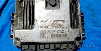 Centralina motore peugeot 206 1.6hdi 