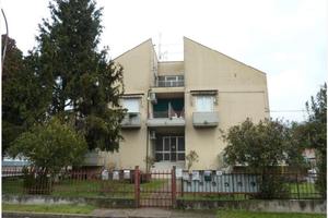 RGE 279/2025 Tribunale Verona