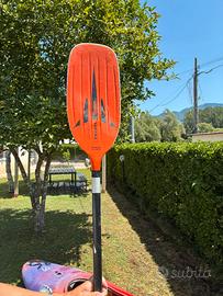 Pagaia slalom prijon 2 mt