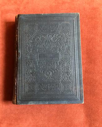 Flora - oltre 100 cromolitografie - 1882