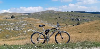 Specialized originale MTB allum Alivio