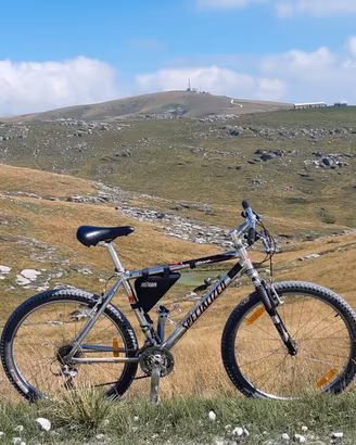 Specialized originale MTB allum Alivio