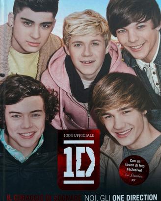 One Direction -libro