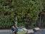 Immagine 1