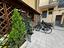 Immagine 7