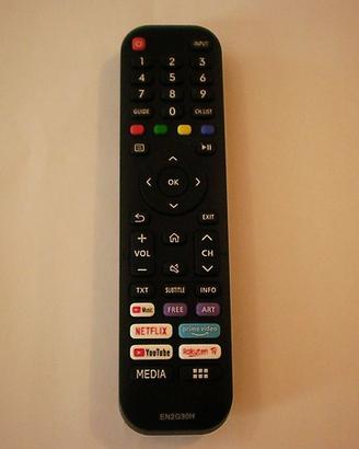 Telecomando modello EN2G30H per TV Smart HISENSE