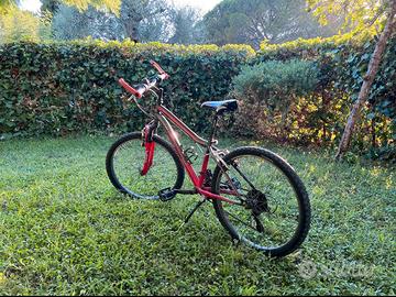 Lombardo bici bambino