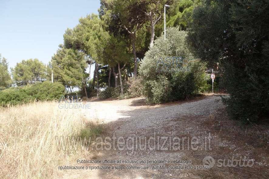Terreno Agricolo San Vincenzo [A4359761] - Vista 4